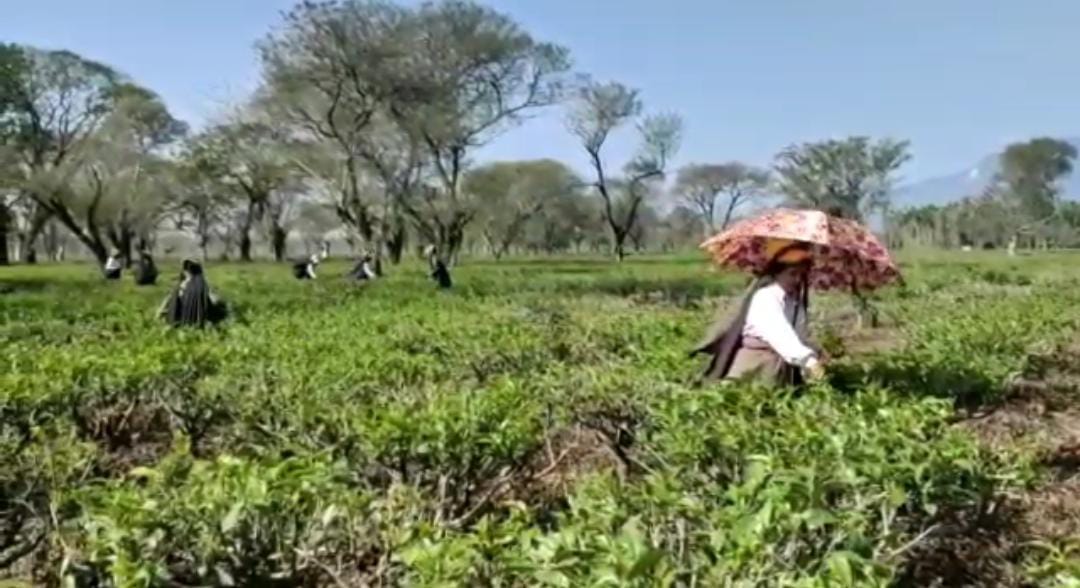 1 मार्च से 6 मार्च तक फिर चलेगा बीजेपी विधायकों और सांसदों के सामने धरना