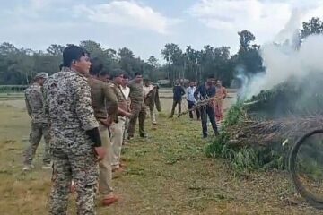 धुपगुड़ी पुलिस ने अवैध गांजा के विरुद्ध चलाया अभियान,  20 एकड़ भूमि पर  लगे गांजे की खेती को किया नष्ट  